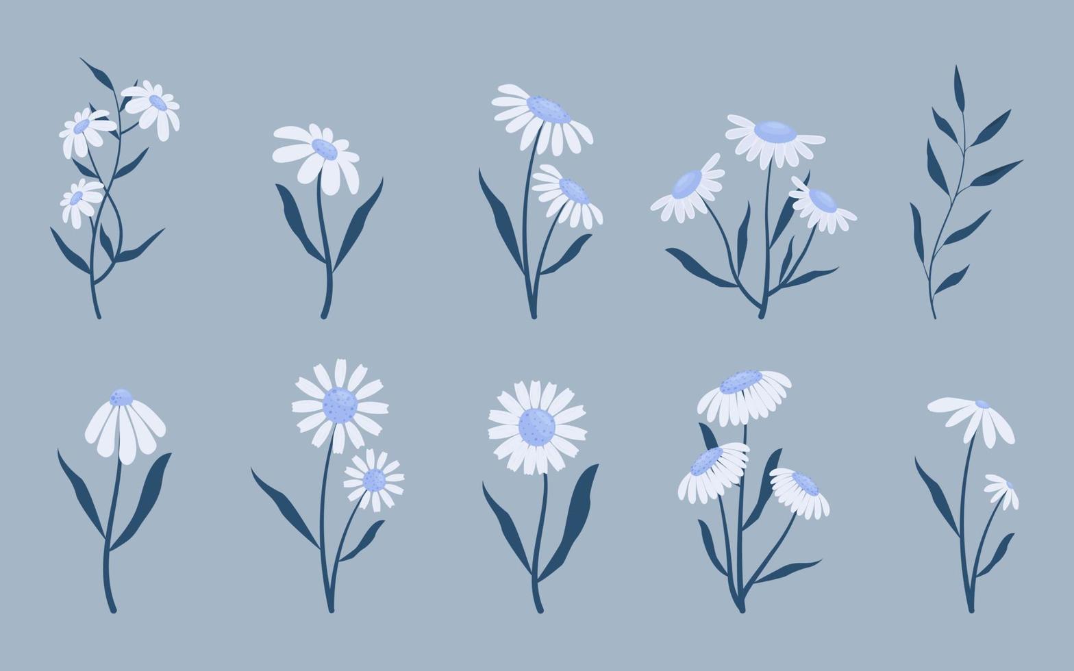 samling av eleganta blommor, vektor illustration