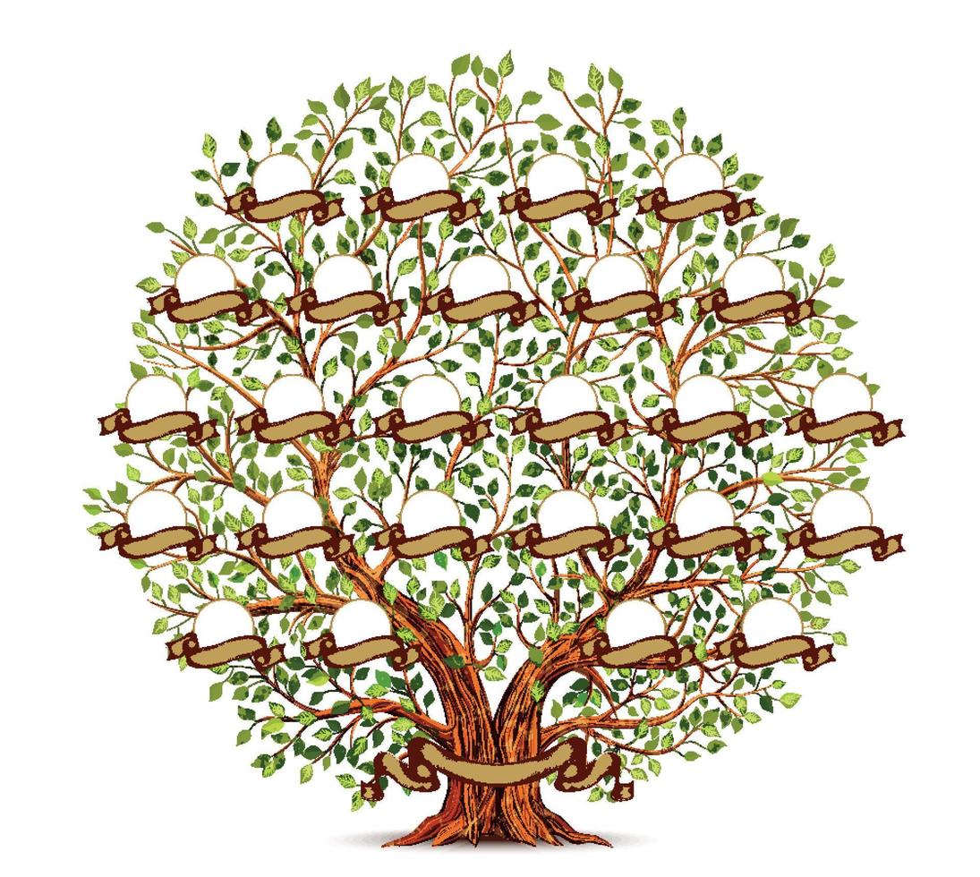 familj träd mall årgång vektor illustration