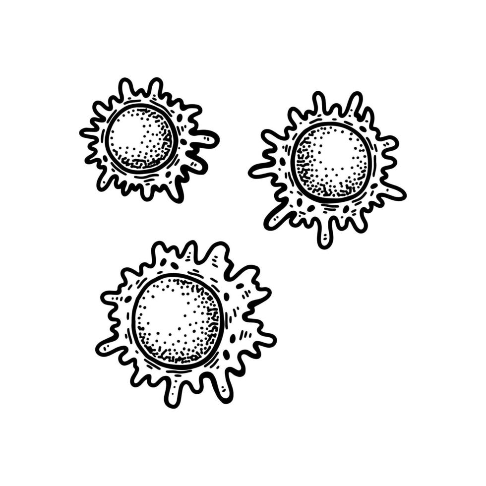 Makrophagen Blut Zellen isoliert auf Weiß Hintergrund. Hand gezeichnet wissenschaftlich Mikrobiologie Vektor Illustration im skizzieren Stil