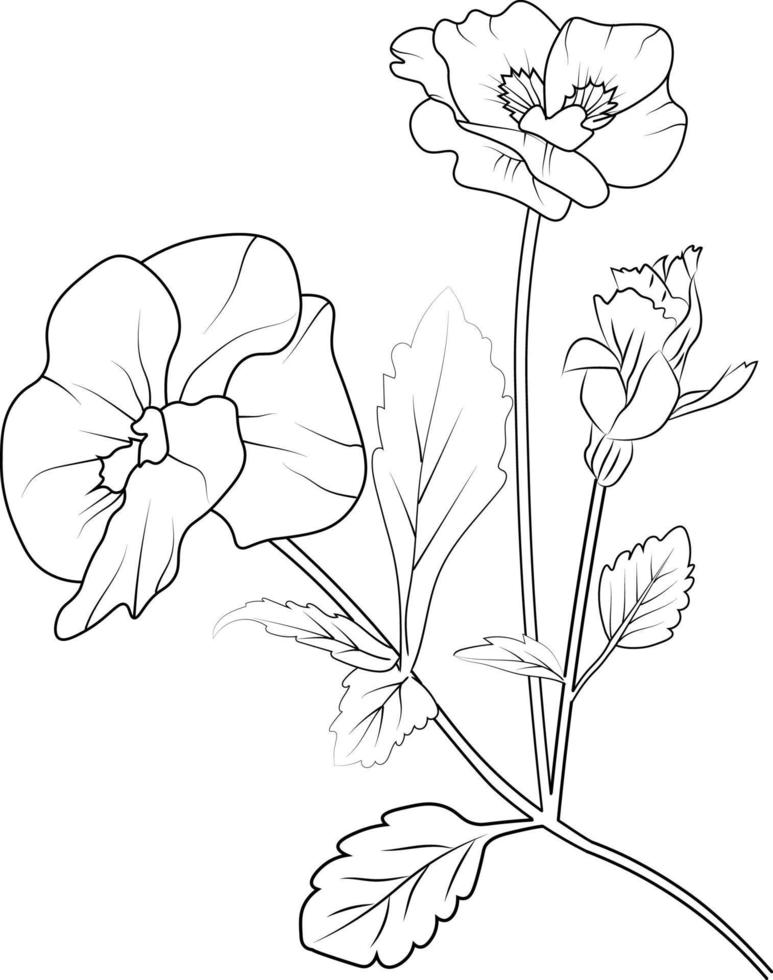 aktuellt blomma fikus färg sidor. fikus blomma linje konst, fikus blomma tatuering mönster, realistisk blomma färg sidor, fikus blomma vektor skiss, traditionell fikus tatuering, capricorn fikus tatuering.