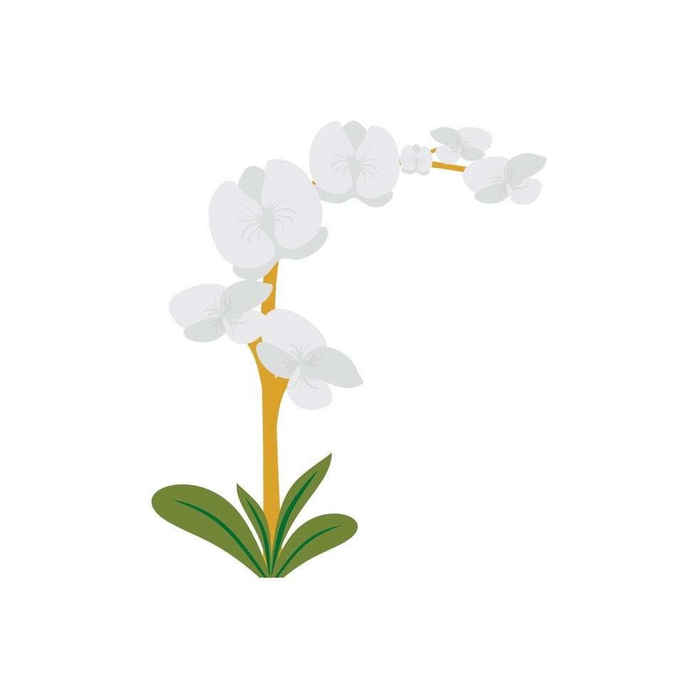 weiße Orchideenblüten und grüne Blätter. atemberaubend schöne blühende Orchideen im Garten. Blumengesteckentwurf auf weißem Hintergrund. flacher Cartoon-Stil. Vektor Blumenillustration