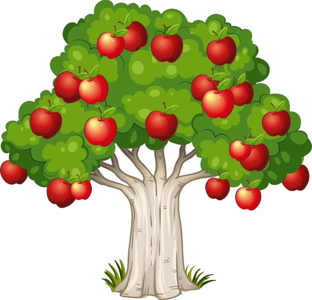 Apfelbaum lokalisiert auf weißem Hintergrund vektor