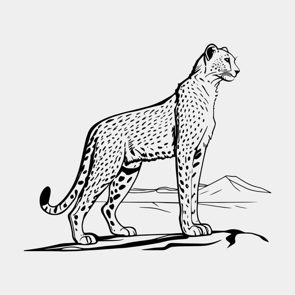 gepard vektor illustration isolerat på vit