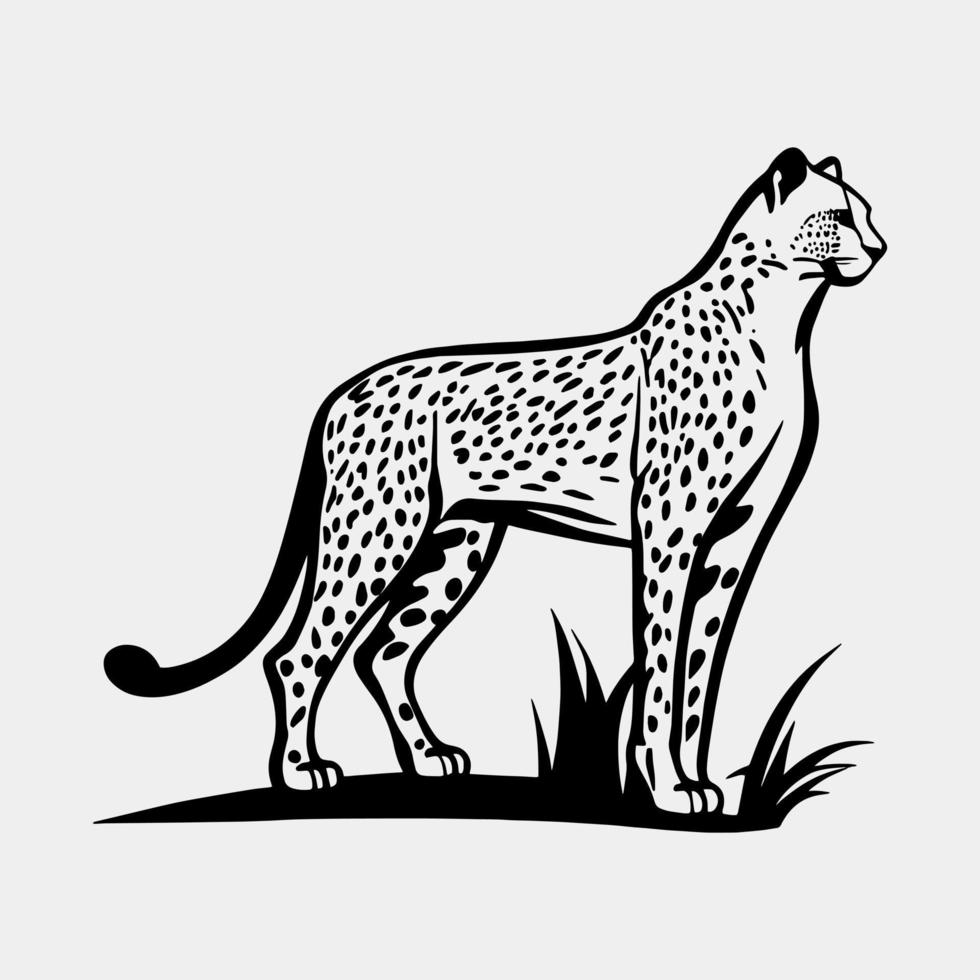 Gepard Vektor Illustration isoliert auf Weiß