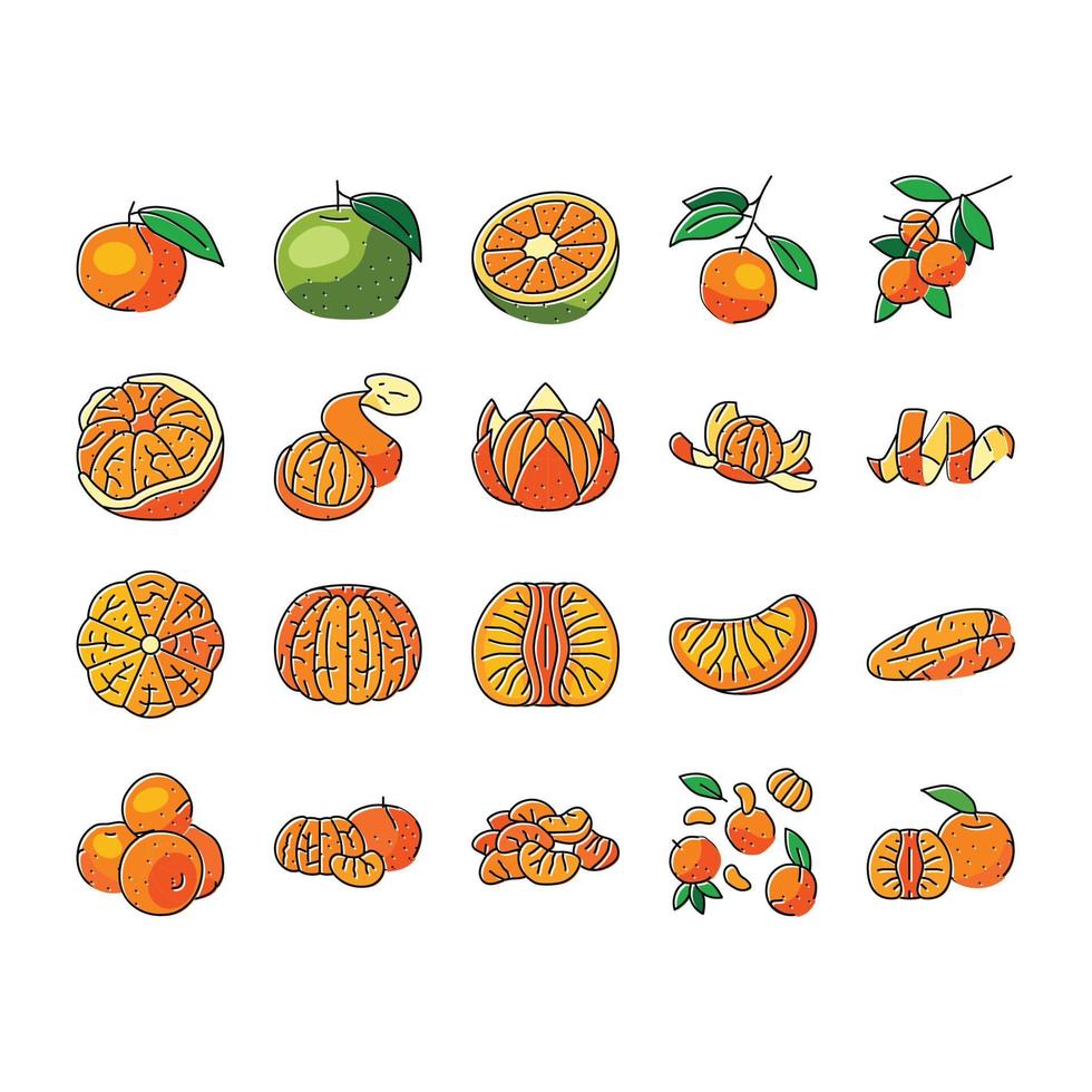 mandarin clementine orange frukt ikoner uppsättning vektor