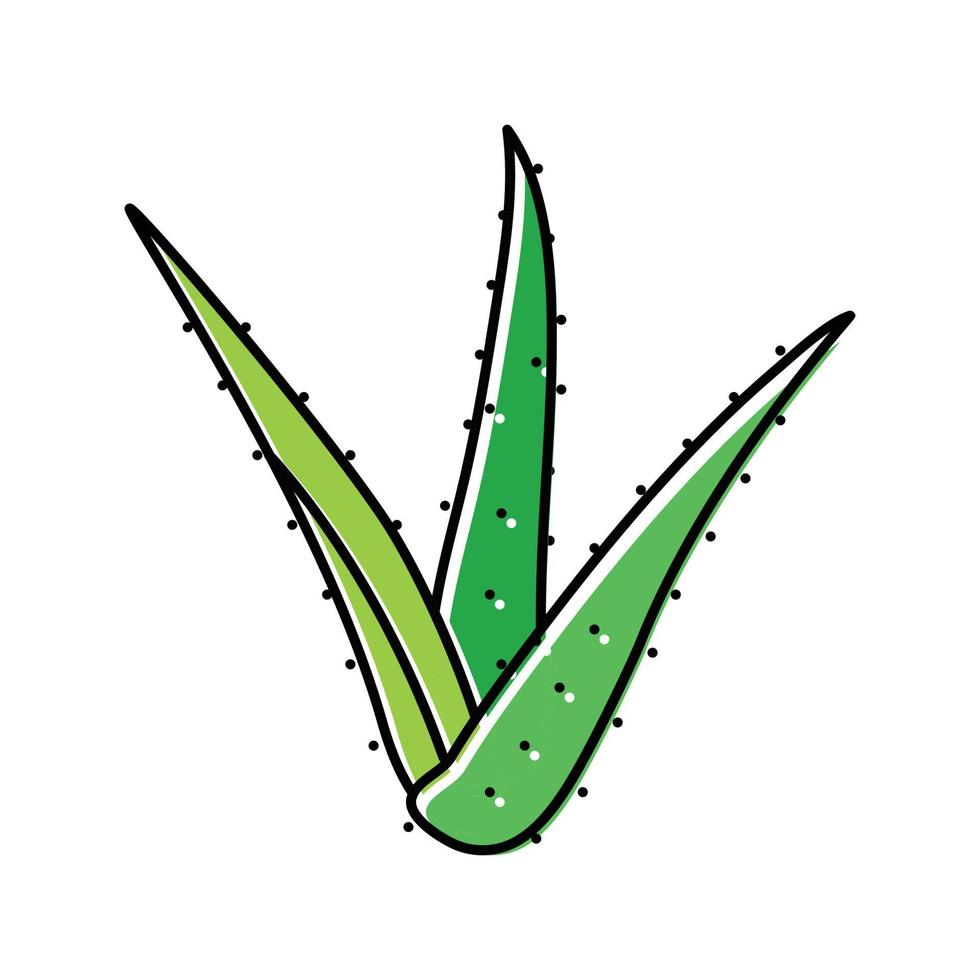 växt aloe vera Färg ikon vektor illustration