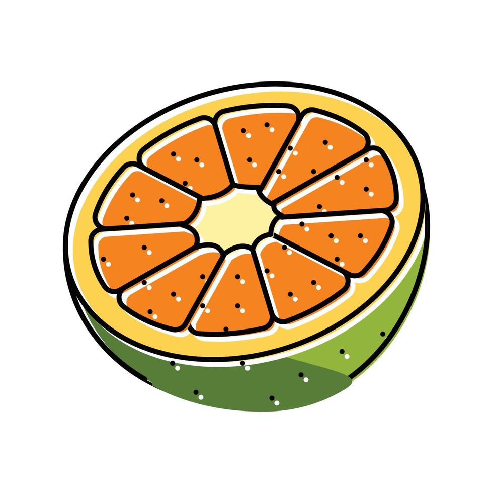 Mandarine Orangenschnitt Farbe Symbol Vektor Illustration