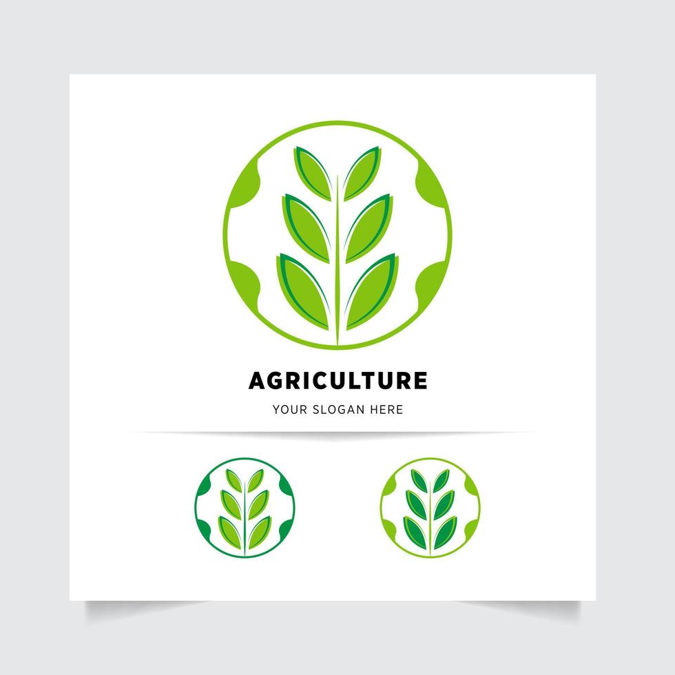 platt emblem logotyp design för lantbruk med de begrepp av grön löv vektor. grön natur logotyp Begagnade för jordbruks system, bönder, och plantage Produkter. logotyp mall. vektor