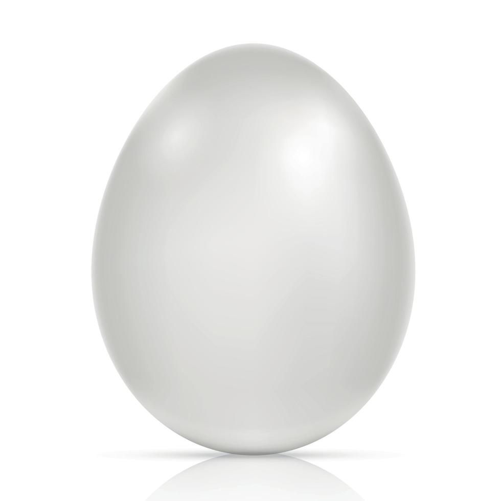 stort realistiskt vitt kycklingägg med skugga på vit bakgrund - vektorillustration vektor
