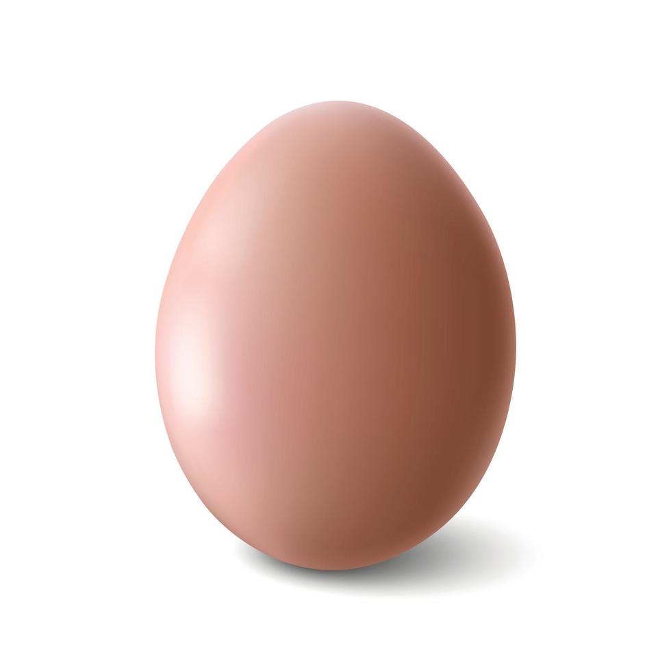 stort realistiskt grått kycklingägg med skugga på vit bakgrund - vektorillustration vektor