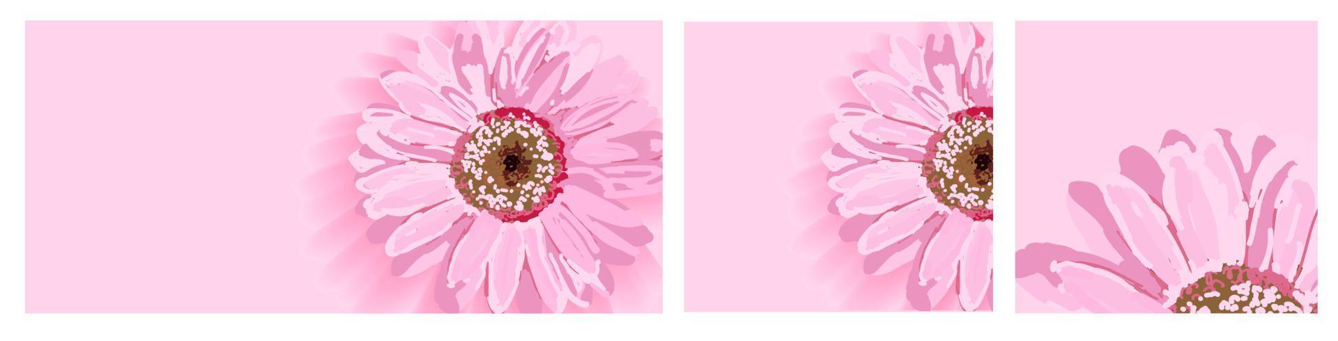 uppsättning av bakgrunder med vår blommor. formatera berättelse, baner och Instagram. rosa blomma. bakgrund till Föra in text. hälsning omslag design för kvinnors dag eller hjärtans dag. hälsning kort, flygblad vektor