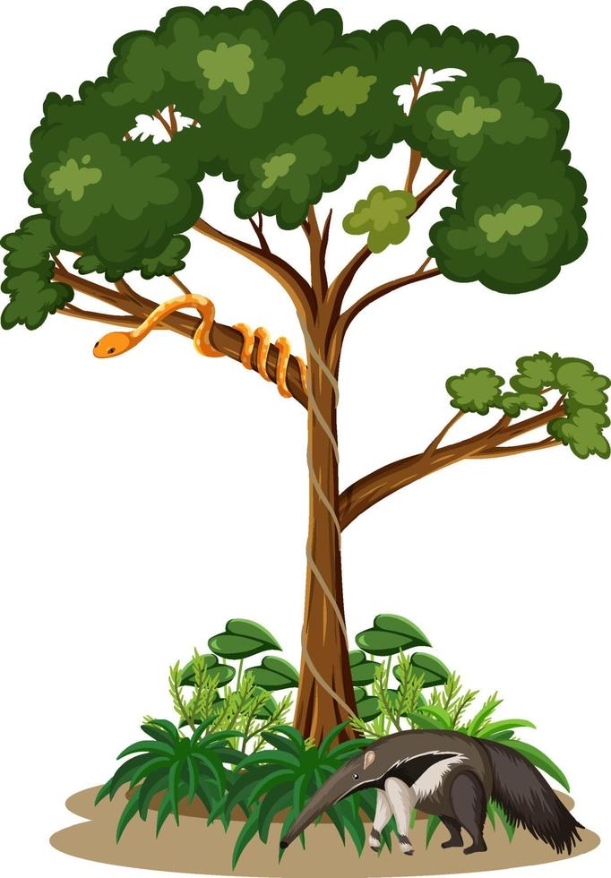 Schlange auf einem Baum mit einem Ameisenbär auf weißem Hintergrund vektor