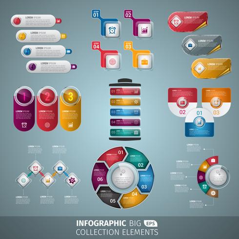 elegant infografisk samling vektor