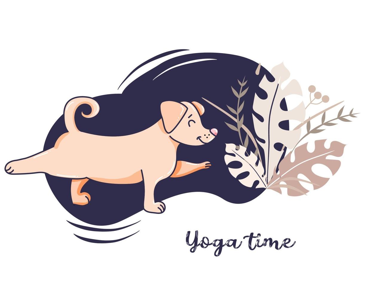 Yoga-Haustiere. Der Hund ist ein Sportler, der sich mit Fitness beschäftigt und sich in einer Asana ausdehnt. Vektorillustration auf einem dekorativen blauen Hintergrund mit Dekor. Konzept - Yoga Zeit und Hobby. flaches Design vektor