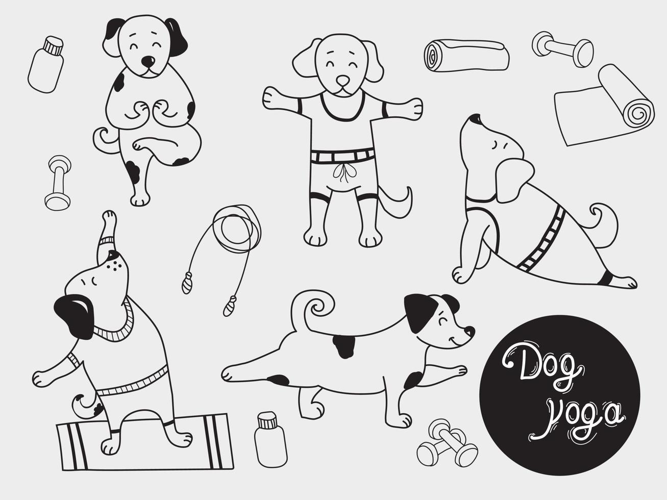 Yoga-Haustiere. süße Welpen stehen in einer Asana und treiben Sport. Hund Yoga - eine Reihe von Bildern. Gliederung. Vektorillustration vektor