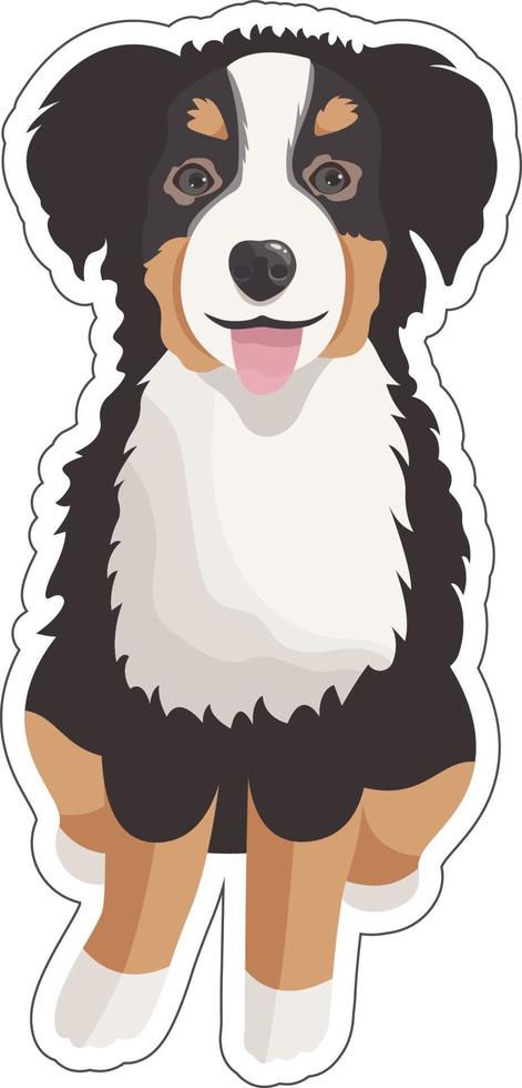 Vektor Aufkleber mit süß Karikatur Berner Berg Hund Sitzung und lächelnd, isoliert auf transparent Hintergrund. inländisch glücklich Haustier