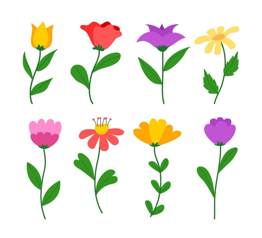 uppsättning av olika blomma med stjälkar och löv, vår blomma platt stil illustration vektor