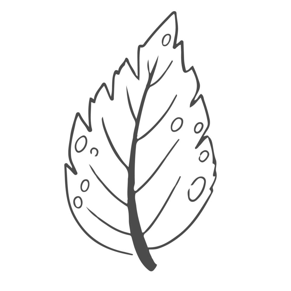 Gekritzel Hand gezeichnet Blätter, Laub, süß elegant ästhetisch Pflanze isoliert auf Weiß Hintergrund. Grenze, Design Element, skizzenhaft Zeichnung. Vektor Illustration
