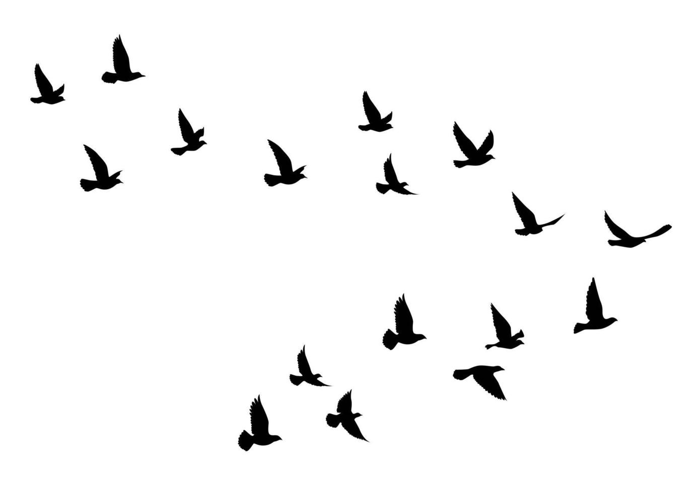 fliegende Vögel Silhouetten auf weißem Hintergrund. Vektorillustration. isoliertes Vogelfliegen. Tattoo Design. vektor