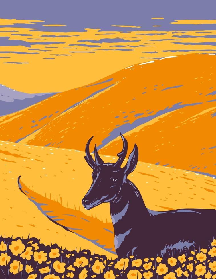 Gabelbock und wilde Blumen, die im einheimischen Grasland des nationalen Denkmals der Carrizo-Ebene in San Luis Obispo County Kalifornien wpa Plakatkunst wachsen vektor