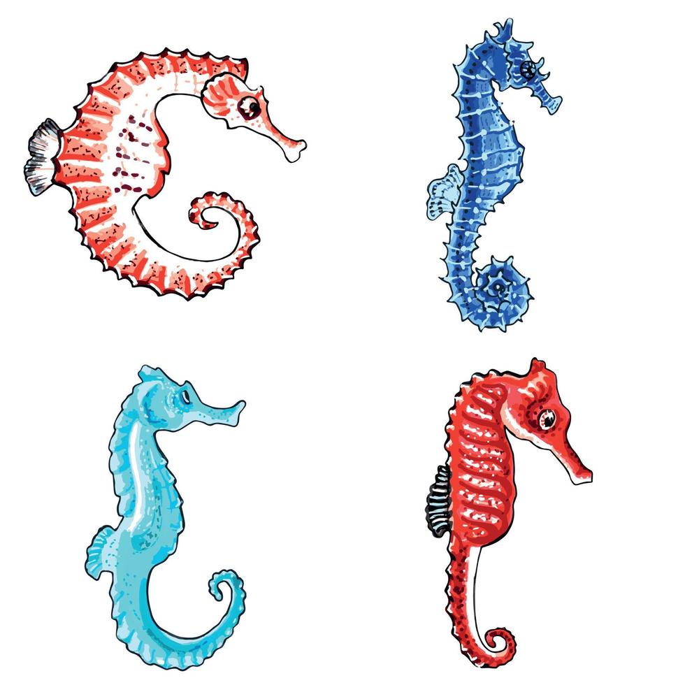 einstellen von braun, Blau, rot und aqua Farbe Seepferdchen isoliert auf transparent Hintergrund. Vektor eps Illustration Marine Tiere.