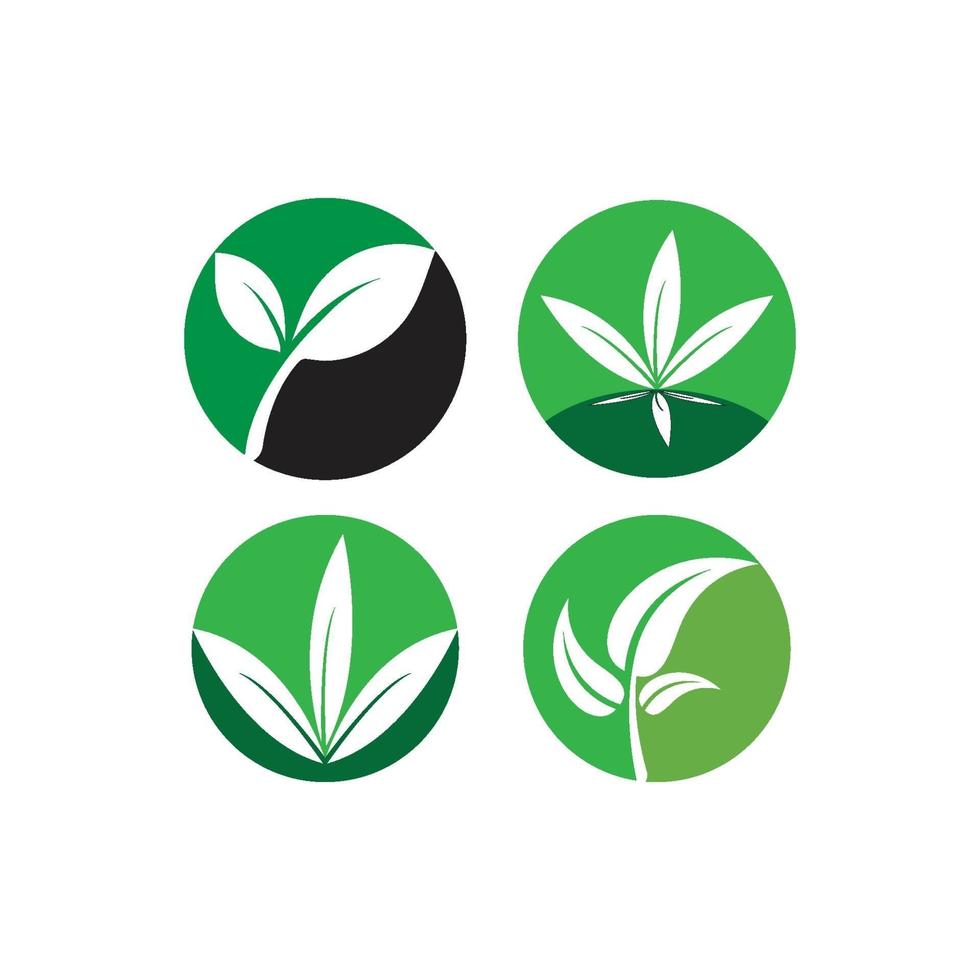 grönt blad logotyp set vektor