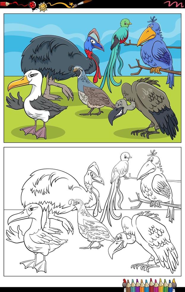 Cartoon Vögel Tierfiguren Malbuch Seite vektor