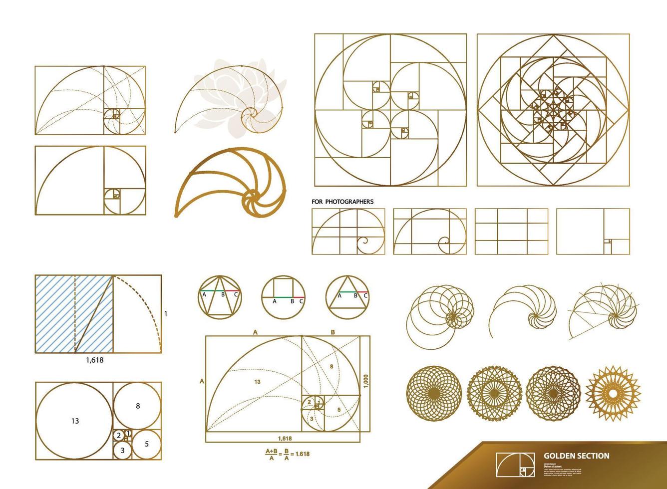 gyllene förhållande för kreativ design sektion vektor illustration.