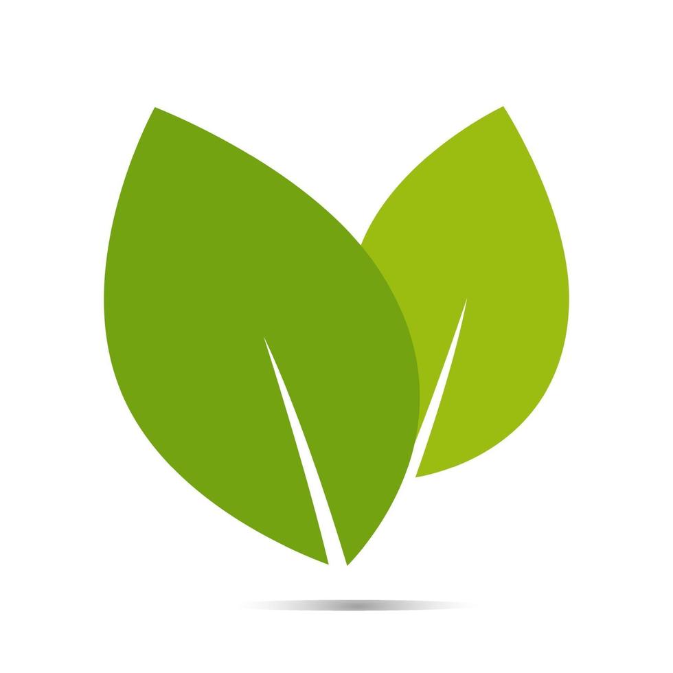 leaf logo organisk etikett eco ikon vektor isolerad bakgrund.