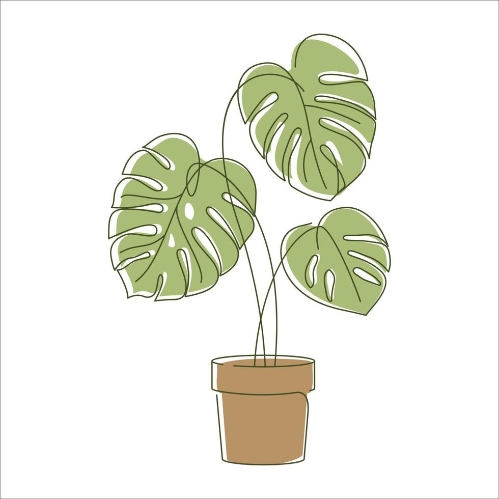 Monstera Delikatesse Pflanze Blätter im linear Zeichnung Symbol. Monstera Pflanze im ein Topf linear Symbol. Monstera Blätter Linie Kunst. Vektor Illustration