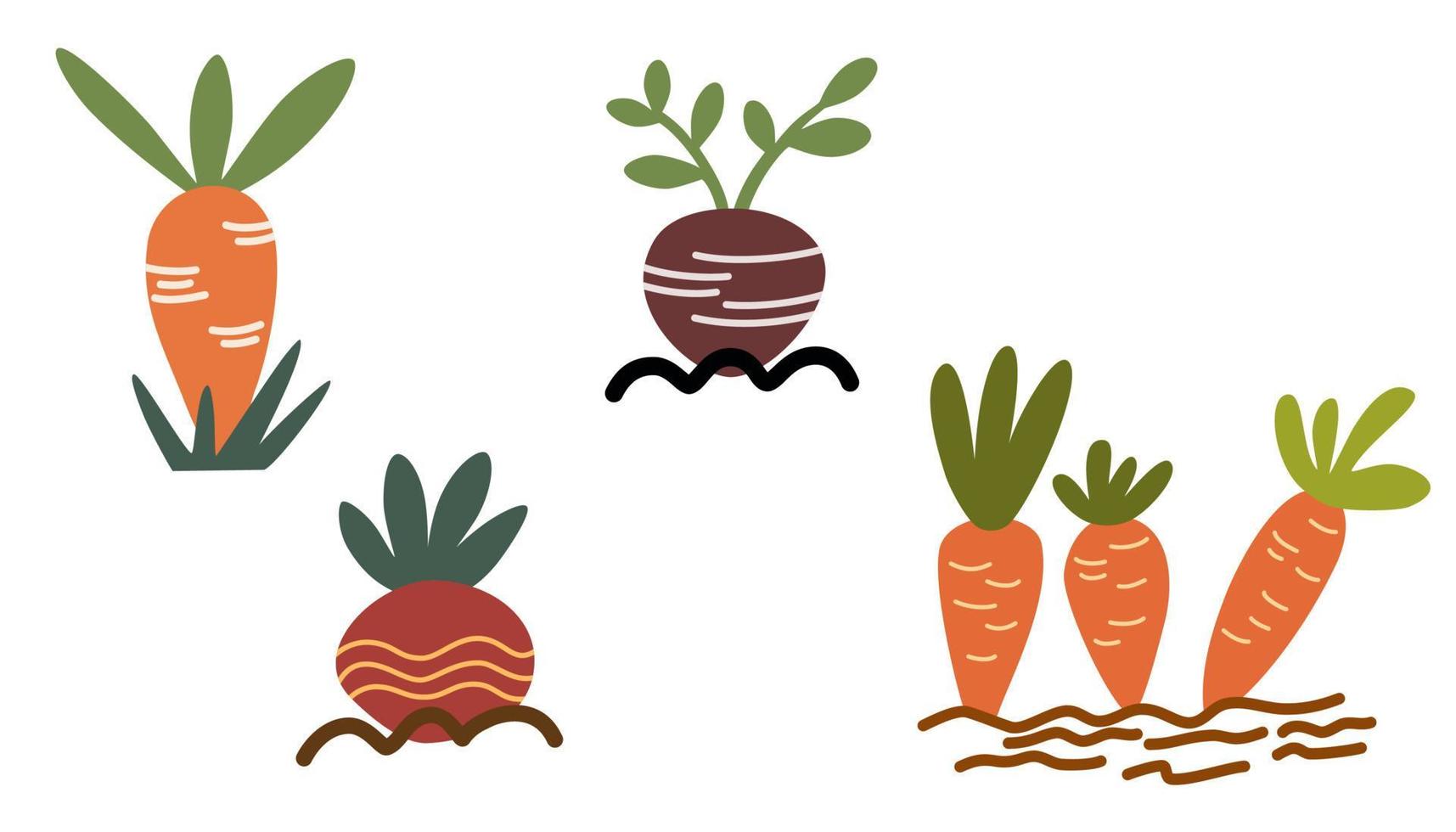 plantor i de jord. morötter, rädisor, betor växa i de jord. skörd, lantbruk, odla. vektor hand dra illustration isolerat på de vit bakgrund.