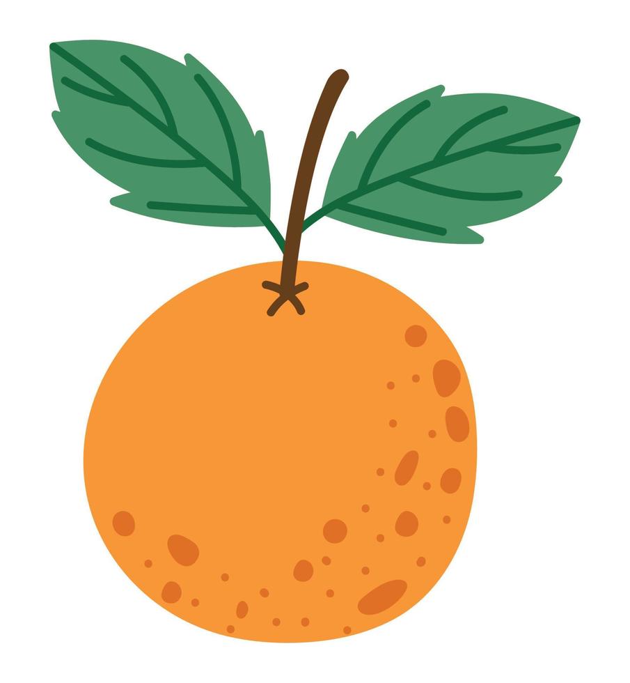 orange frukt design vektor