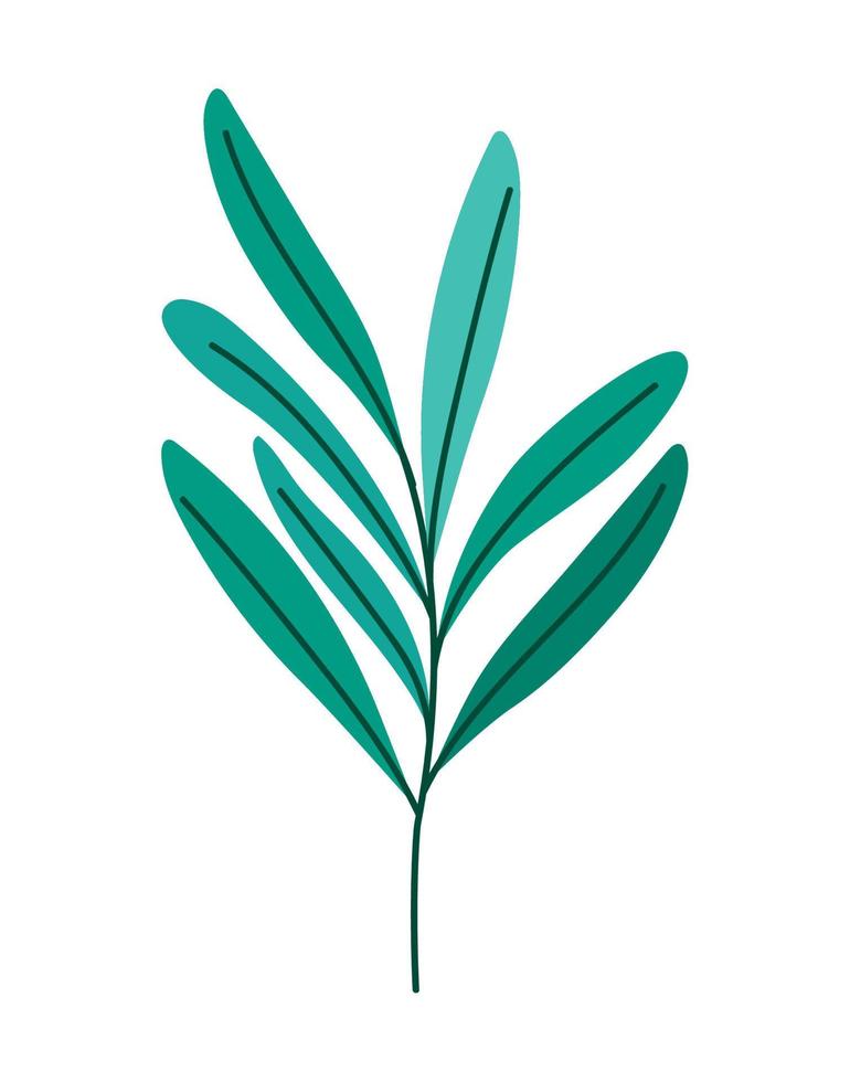 gren av gröna blad vektor