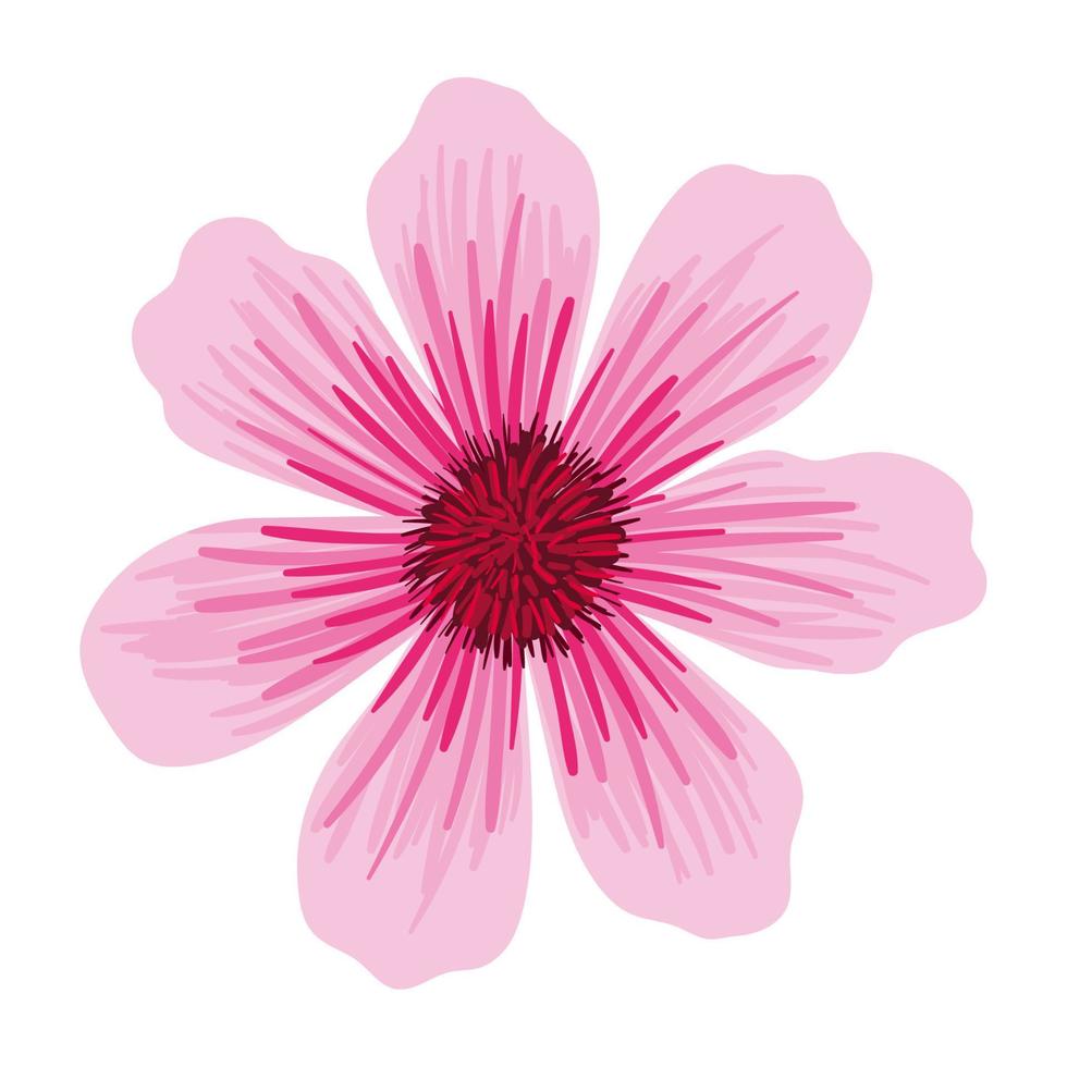blomma med rosa löv vektor