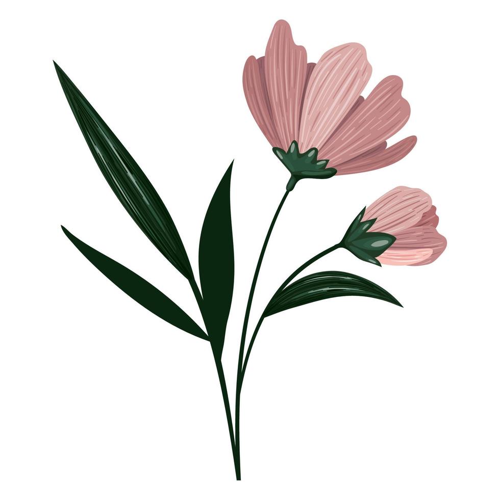 rosa blommor design vektor