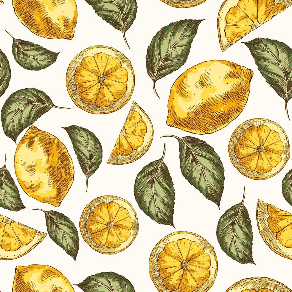 Zitronen und Blätter Hand gezeichneten Vektor nahtloses Muster