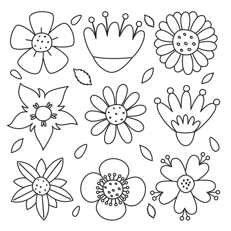 linje konst teckning av blommor och växter vektor
