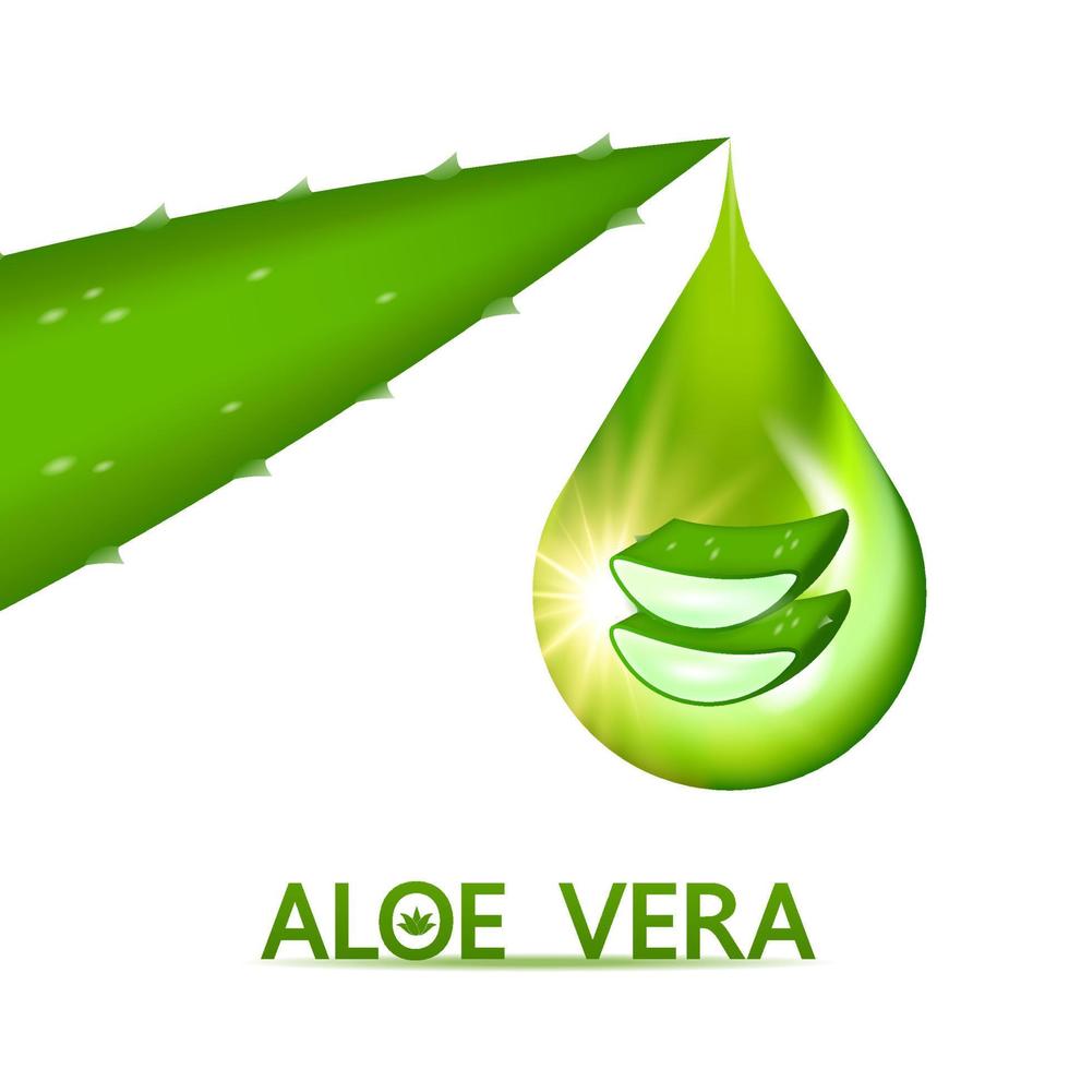 aloe vera kollagen och serum för hud vård kosmetisk vektor