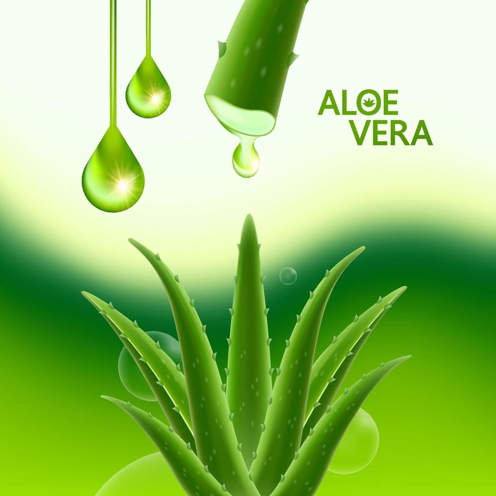 aloe vera kollagen och serum för hud vård kosmetisk vektor