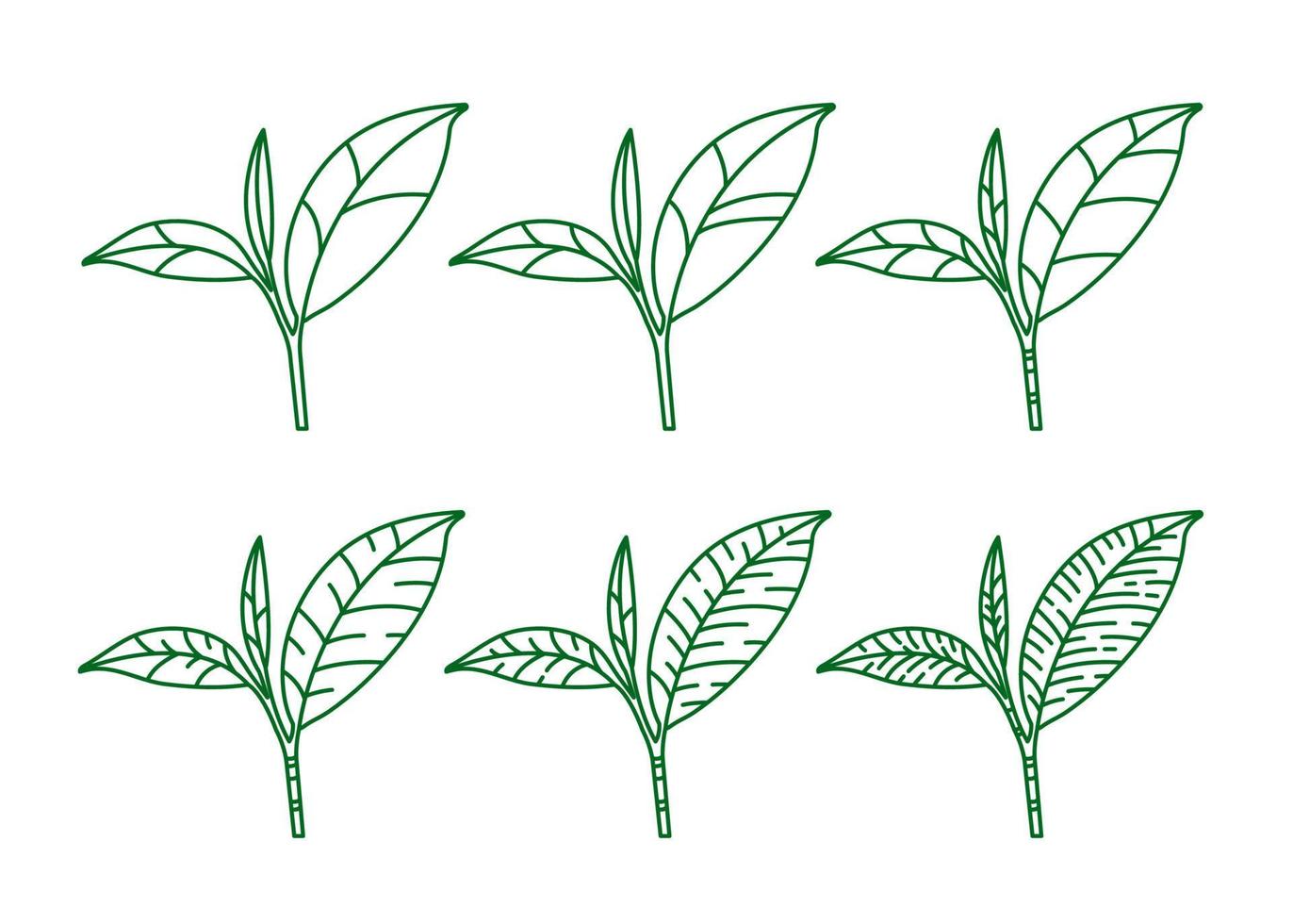premie grön te för Bra hälsa vektor illustration.