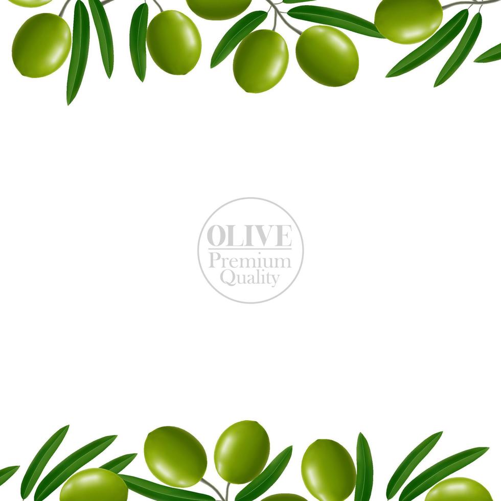 Olive Schönheit und kosmetisch elegant Illustration. vektor