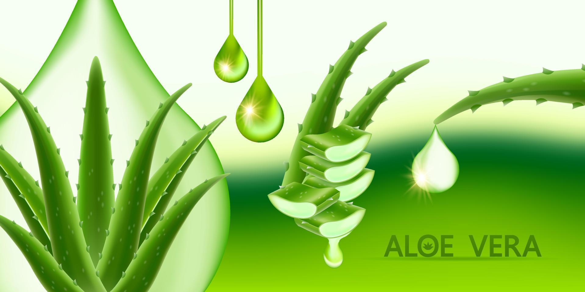 Aloe vera Kollagen und Serum zum Haut Pflege kosmetisch Vektor