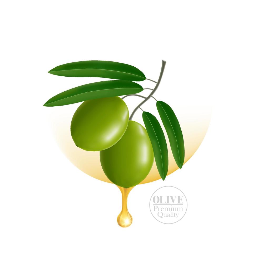 oliv skönhet och kosmetisk elegant illustration. vektor