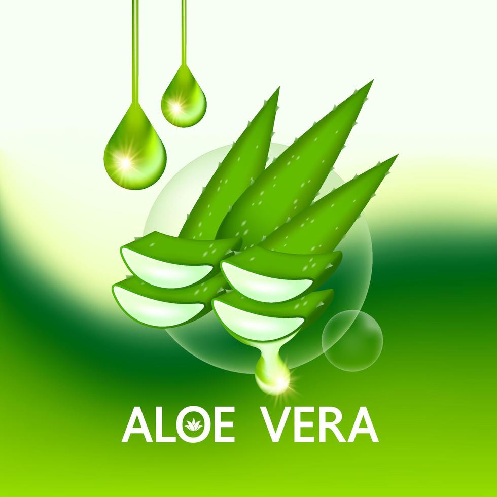 Aloe vera Kollagen und Serum zum Haut Pflege kosmetisch Vektor