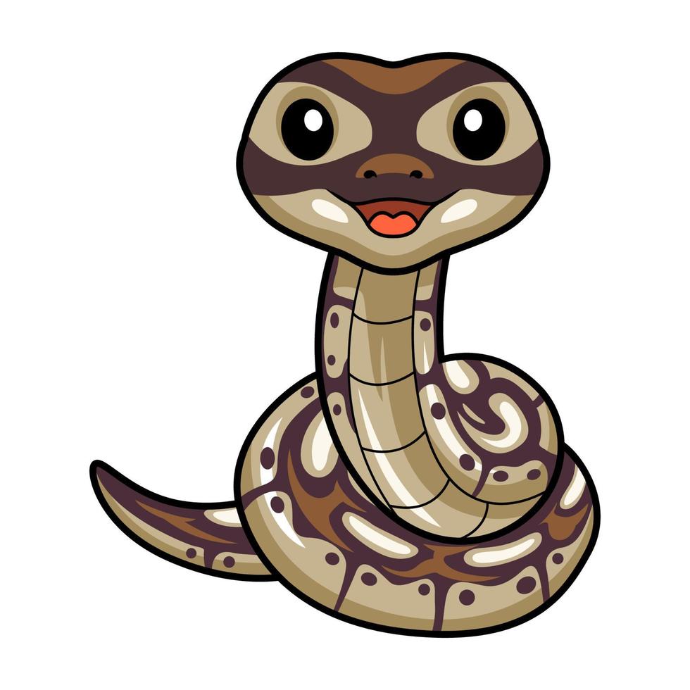 süß schwarz Kopf Butter Ball Python Karikatur vektor