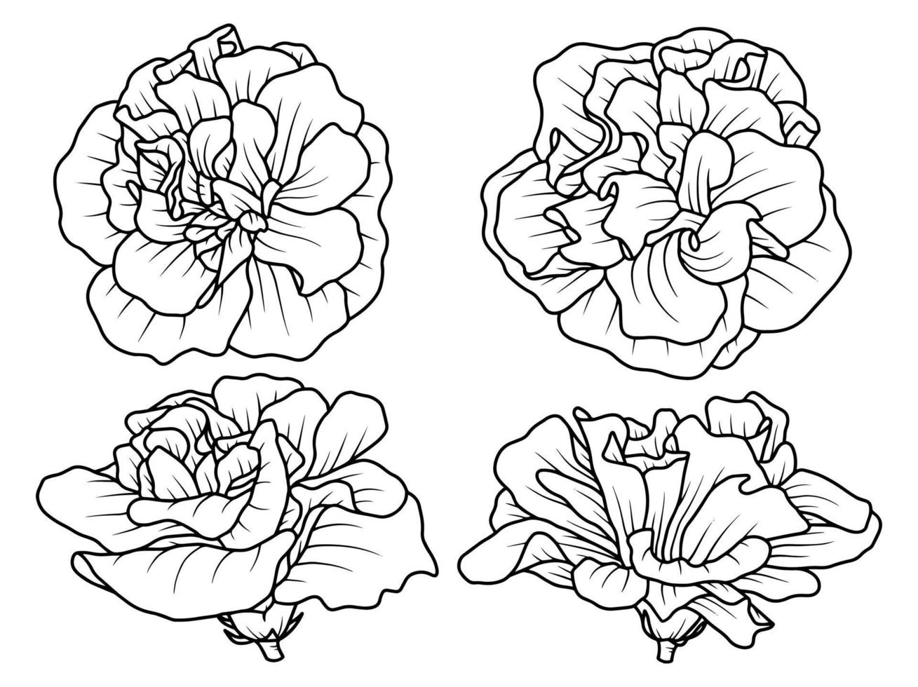 Hand gezeichnet Blume skizzieren Linie Kunst Illustration einstellen vektor