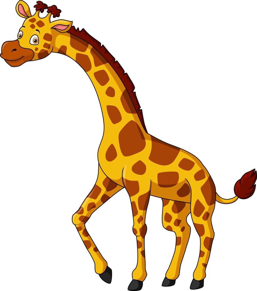 Cartoon-Giraffe auf weißem Hintergrund vektor