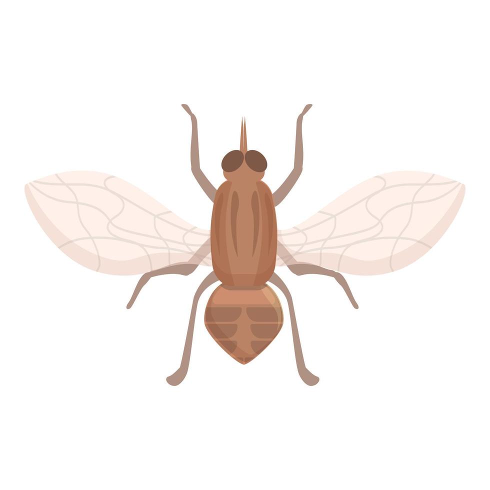 Glossiniden tsetse fliegen Symbol Karikatur Vektor. Insekt Moskito vektor