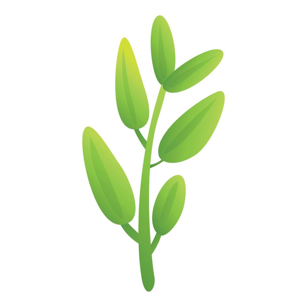 Öko Salbei Symbol Karikatur Vektor. Blatt Pflanze vektor