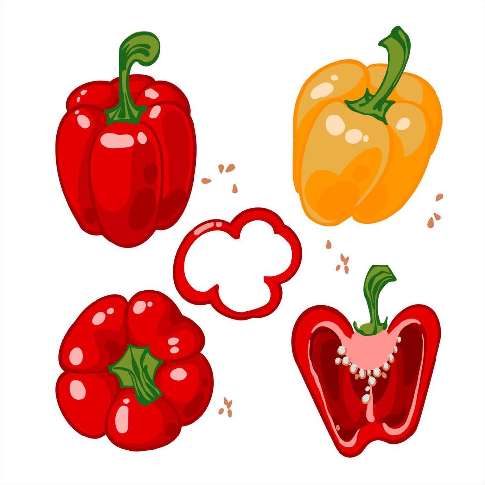 paprika. uppsättning av hand dragen vektor illustrationer med ljuv röd och gul paprika, peppar skivor, topp se. isolerat på vit bakgrund. klocka peppar cutaway. mogen och saftig bruka grönsaker.